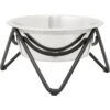Frisco Triangle Iron Non-Skid Elevated Dog & Cat Bowl -Chewy 257155 MAIN. AC SS1800 V1615521984