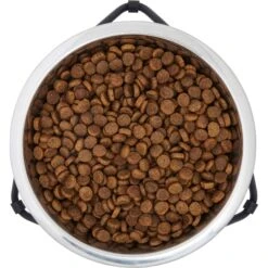 Frisco Triangle Iron Non-Skid Elevated Dog & Cat Bowl -Chewy 257155 PT4. AC SS1800 V1615311701