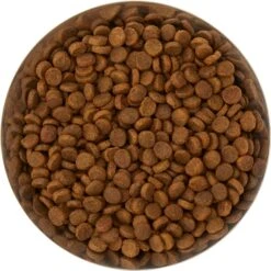 Frisco Flare Non-Skid Stainless Steel Dog & Cat Bowl -Chewy 257162 PT4. AC SS1800 V1612366692