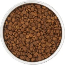 Frisco Insulated Two-Toned Non-Skid Stainless Steel Dog & Cat Bowl -Chewy 257168 PT4. AC SS1800 V1612367255