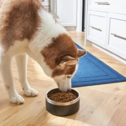 Frisco Insulated Two-Toned Non-Skid Stainless Steel Dog & Cat Bowl -Chewy 257168 PT8. AC SS1800 V1615840126