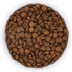 Frisco Bohemian Non-Skid Stainless Steel Dog & Cat Bowl -Chewy 257195 PT4. AC SS1800 V1615311089