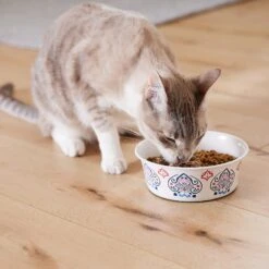 Frisco Bohemian Non-Skid Stainless Steel Dog & Cat Bowl -Chewy 257195 PT7. AC SS1800 V1615989147