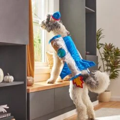 Frisco Rocket Ship Dog & Cat Costume -Chewy 260904 PT8. AC SS1800 V1624400386