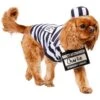 Frisco Prisoner Dog & Cat Costume -Chewy 260933 MAIN. AC SS1800 V1624400089