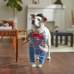 Frisco Front Walking French Artist Dog & Cat Costume -Chewy 260956 PT8. AC SS1800 V1689623916