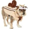 Frisco Chipmunk Dog & Cat Costume 1 Frisco Chipmunk Dog & Cat Costume -Chewy 261049 MAIN. AC SS1800 V1624335174