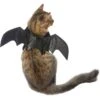 Frisco Bat Wings Dog & Cat Costume -Chewy 261113 MAIN. AC SS1800 V1625076458