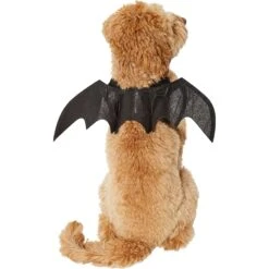 Frisco Bat Wings Dog & Cat Costume -Chewy 261113 PT2. AC SS1800 V1625077070