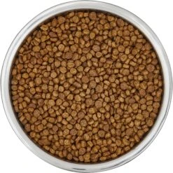 Frisco Insulated Non-Skid Flair Stainless Steel Dog & Cat Bowl -Chewy 261753 PT4. AC SS1800 V1623937583