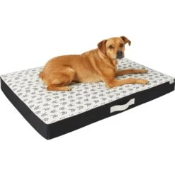 Frisco Indoor/Outdoor Arrow Print Pillow Dog Bed W/Removable Cover -Chewy 262153 PT2. AC SS1800 V1619534330
