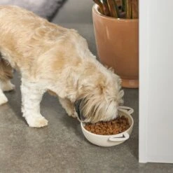 Frisco Dog Face Non-skid Ceramic Cat & Dog Bowl -Chewy 270226 PT2. AC SS1800 V1620762156