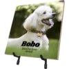 Frisco Personalized Basic Ceramic Photo Tile With Stand -Chewy 271227 MAIN. AC SS1800 V1619197918