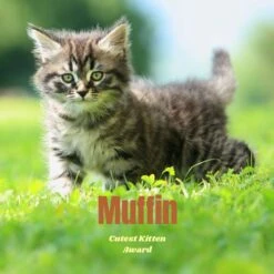 Frisco Personalized Basic Ceramic Photo Tile With Stand -Chewy 271227 PT2. AC SS1800 V1619198223