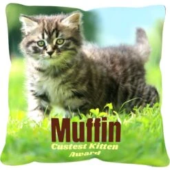 Frisco Personalized Basic Throw Pillow, 16" X 16" -Chewy 271237 PT2. AC SS1800 V1620405726