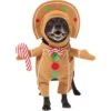 Frisco Front Walking Gingerbread Dog & Cat Costume -Chewy 276156 MAIN. AC SS1800 V1631659697