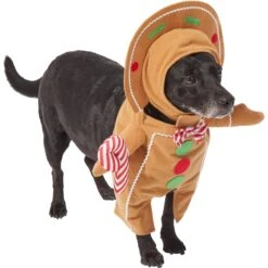 Frisco Front Walking Gingerbread Dog & Cat Costume -Chewy 276156 PT3. AC SS1800 V1631660334