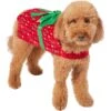 Frisco Holiday Giftbox Dog & Cat Costume -Chewy 276175 MAIN. AC SS1800 V1631672803
