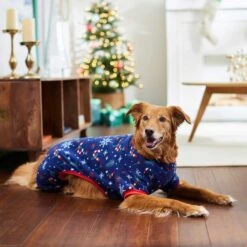 Frisco Snowy Nights Dog & Cat Cozy Polar Fleece PJs 14 Frisco Snowy Nights Dog & Cat Cozy Polar Fleece PJs -Chewy 276448 PT5. AC SS1800 V1637672189