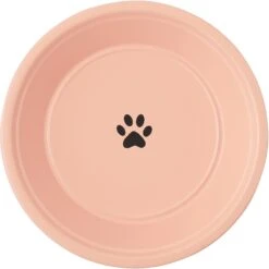 Frisco Elevated Non-skid Stainless Steel Dog & Cat Bowl -Chewy 277523 PT4. AC SS1800 V1627934801
