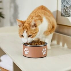Frisco Paw Print Non-Skid Stainless Steel Dog & Cat Bowl -Chewy 277546 PT3. AC SS1800 V1630347716