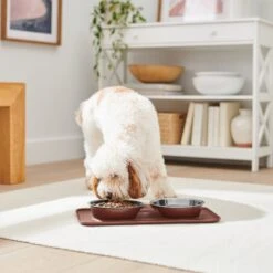 Frisco Silicone Stainless Steel Double Diner Dog & Cat Bowl, Brown 11 Frisco Silicone Stainless Steel Double Diner Dog & Cat Bowl, Brown -Chewy 277551 PT2. AC SS1800 V1630346531