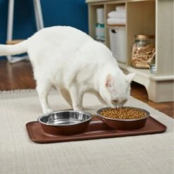 Frisco Silicone Stainless Steel Double Diner Dog & Cat Bowl, Brown 12 Frisco Silicone Stainless Steel Double Diner Dog & Cat Bowl, Brown -Chewy 277551 PT3. AC SS1800 V1630348104