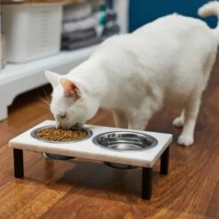Frisco Marble Elevated Stainless Steel Double Diner Dog & Cat Bowls 11 Frisco Marble Elevated Stainless Steel Double Diner Dog & Cat Bowls -Chewy 277559 PT3. AC SS1800 V1630347820