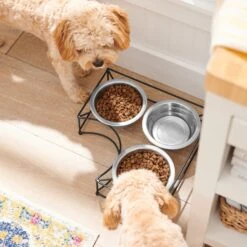 Frisco Multi Pet Feeding Corner 3-Bowls Stainless Steel Dog & Cat Bowl -Chewy 277561 PT2. AC SS1800 V1630346973