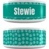 Frisco General Pet Ceramic Personalized Dog & Cat Bowl -Chewy 278922 MAIN. AC SS1800 V1627996572