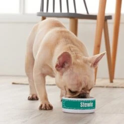 Frisco Personalized General Dog & Cat Small Dog Bowl -Chewy 278924 PT3. AC SS1800 V1629147374