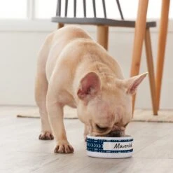 Frisco Personalized Mudcloth Small Dog & Cat Bowl -Chewy 278936 PT3. AC SS1800 V1629147692