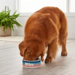 Frisco Personalized Watercolor Dog Bowl -Chewy 278942 PT3. AC SS1800 V1629147399
