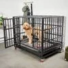 Frisco Ultimate Foldable & Stackable Heavy Duty Steel Metal Single Door Dog Crate -Chewy 280395 MAIN. AC SS1800 V1632851201