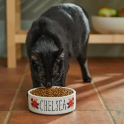 Frisco Flower Ceramic Personalized Dog Bowl 12 Frisco Flower Ceramic Personalized Dog Bowl -Chewy 286985 PT3. AC SS1800 V1625764702