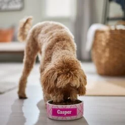 Frisco Personalized Plaid Ceramic Dog Bowl 11 Frisco Personalized Plaid Ceramic Dog Bowl -Chewy 287013 PT4. AC SS1800 V1639518088