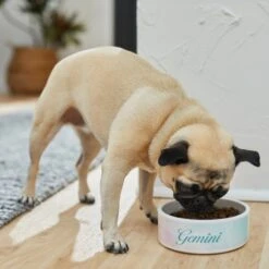 Frisco Watercolors Ceramic Personalized Dog Bowl -Chewy 296664 PT2. AC SS1800 V1625764663