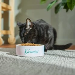 Frisco Watercolors Ceramic Personalized Dog Bowl -Chewy 296664 PT3. AC SS1800 V1625764646