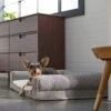 Frisco Boho Modern Couch Dog & Cat Bed -Chewy 299392 MAIN. AC SS1800 V1638288742