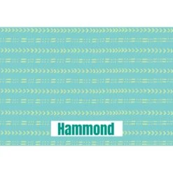 Frisco Mudcloth Personalized Dog & Cat Placemat -Chewy 299552 PT2. AC SS1800 V1636048646