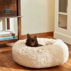 Frisco Eyelash Cat & Dog Bolster Bed & Frisco Eyelash Cat & Dog Bolster Bed -Chewy 302450 PT4. AC SS1800 V1623046356