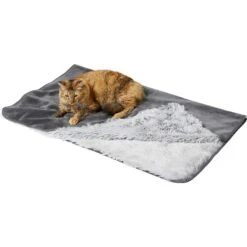 Frisco Eyelash Cat & Dog Bolster Bed & Frisco Eyelash Cat & Dog Blanket -Chewy 303412 PT5. AC SS1800 V1623085054