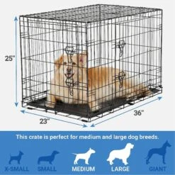 Frisco Fold & Carry Double Door Collapsible Wire Dog Crate & Mat Kit & Frisco Stainless Steel Bowl -Chewy 303428 PT2. AC SS1800 V1623055045