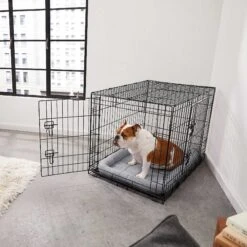 Frisco Fold & Carry Double Door Collapsible Wire Dog Crate & Mat Kit & Frisco Stainless Steel Bowl -Chewy 303428 PT4. AC SS1800 V1623089543