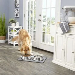 Frisco Fold & Carry Double Door Collapsible Wire Dog Crate & Mat Kit & Frisco Stainless Steel Bowl -Chewy 303428 PT7. AC SS1800 V1623045760