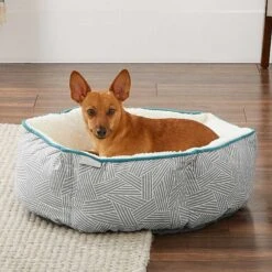 Frisco Sherpa Dog & Cat Blanket & Frisco Sherpa Hexagon Bolster Cat & Dog Bed -Chewy 303598 PT7. AC SS1800 V1623071862