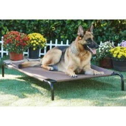 Frisco Replacement Cover For Steel-Framed Elevated Dog Bed & Frisco Steel-Framed Elevated Dog Bed 13 Frisco Replacement Cover For Steel-Framed Elevated Dog Bed & Frisco Steel-Framed Elevated Dog Bed -Chewy 303624 PT5. AC SS1800 V1623084445