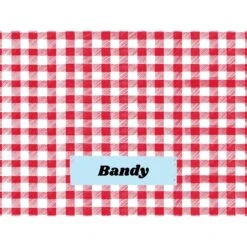 Frisco Personalized Gingham Plaid Sherpa Cat & Dog Blanket, 30" X 40" -Chewy 303834 PT4. AC SS1800 V1637610144
