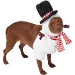 Frisco Front Walking Snowman Dog & Cat Costume -Chewy 306569 PT3. AC SS1800 V1631660597