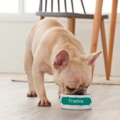 Frisco Personalized Chevron Ceramic Dog & Cat Bowl -Chewy 306760 PT4. AC SS1800 V1639518107